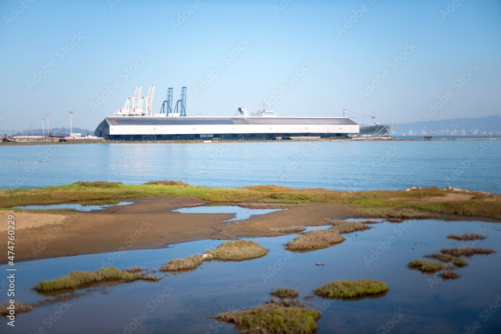 Tidal marshes in San Francisco Bay Indian Bassin with crane, warehouse and blue sky