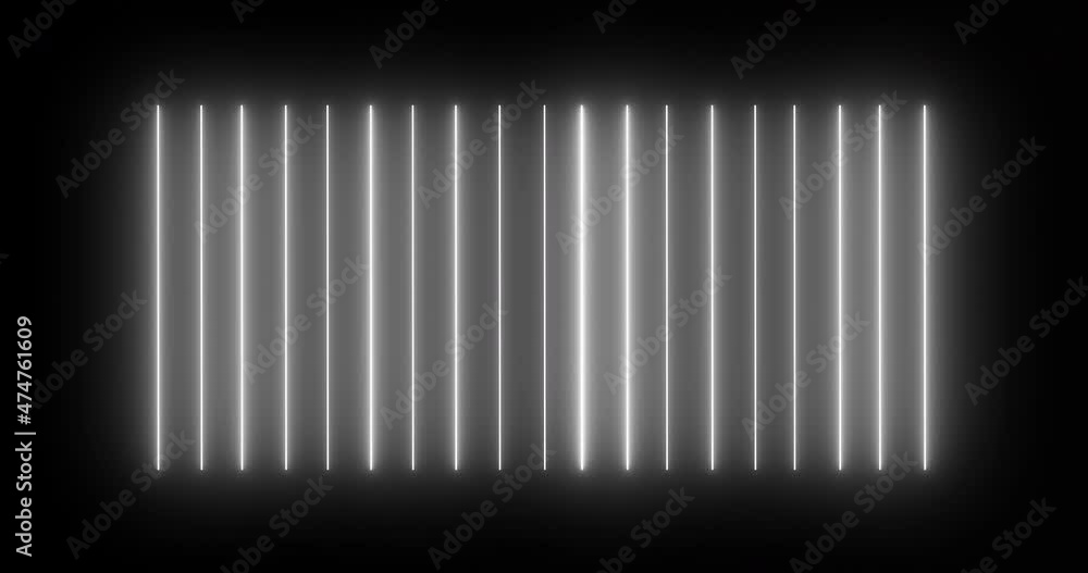 Neon white lines on black background. Loop Neon white lines on black background. Loop
