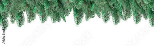 Fir branch upper border. Christmas edge with green firtree twigs. Xmas and New Year ornament, banner.