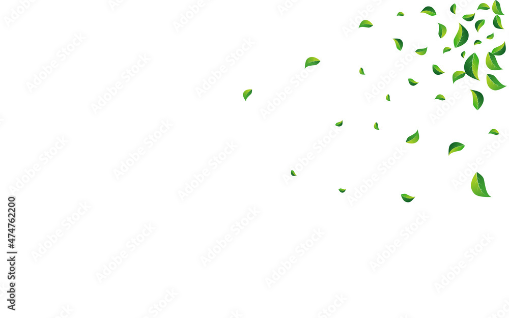 Green Greens Ecology Vector White Background. Green Greens Ecology Vector White Background.