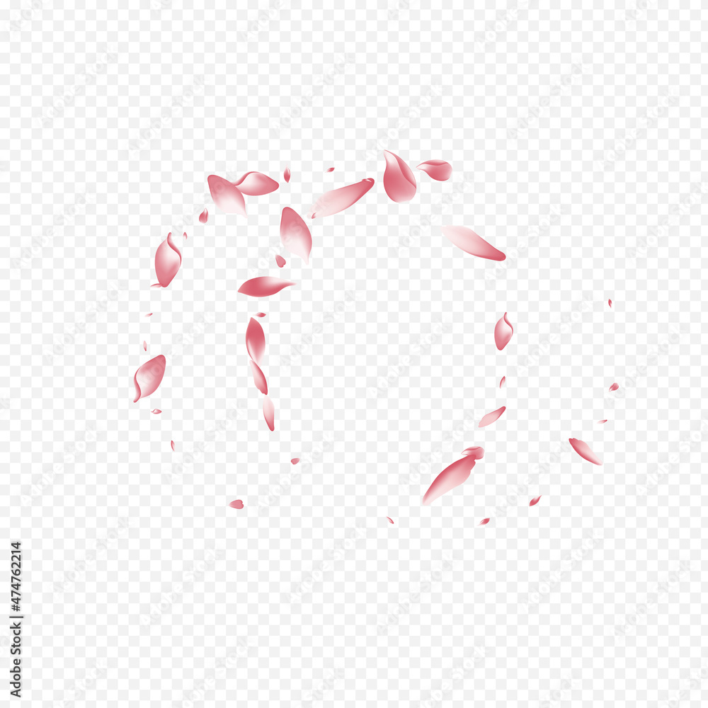 Bright Lotus Vector Transparent Background. Petal Bright Lotus Vector Transparent Background. Petal