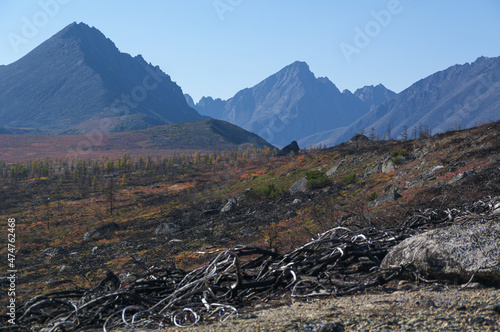 Landscape in the mountains