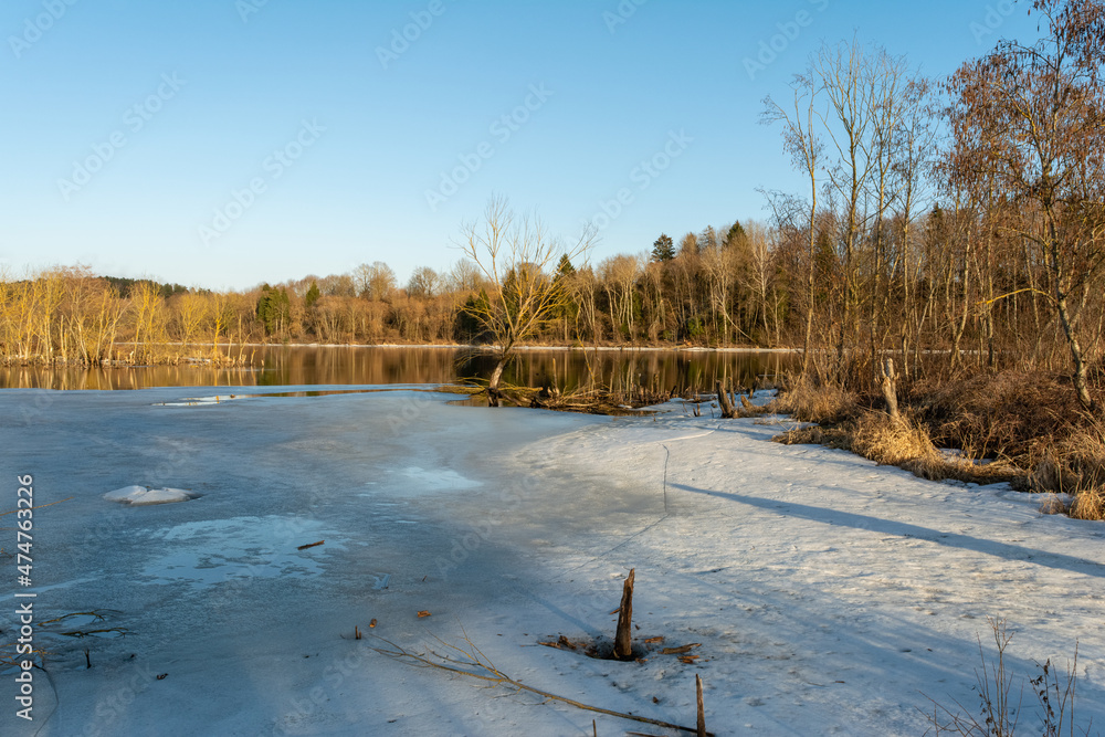 Spring melting of ice and snow on the river on a sunny evening. Trees and shrubs are flooded areas. Landscape of spring nature on the river flood