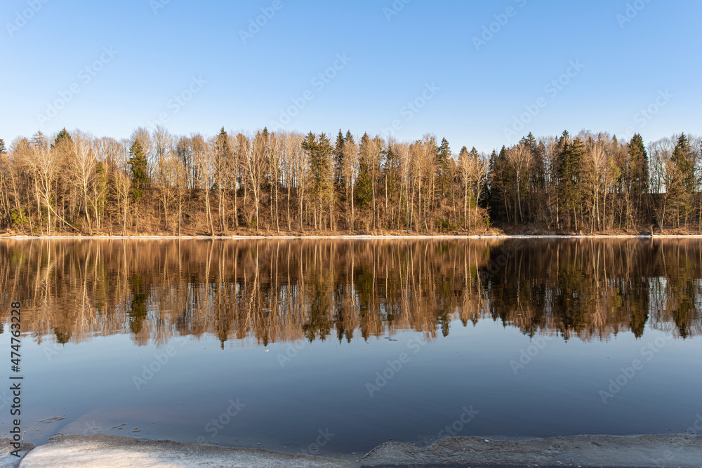 Frontal view of the blue river and the bank with tall trees. The clear blue sky and trees are reflected in the water. Spring landscape with a lake in the evening