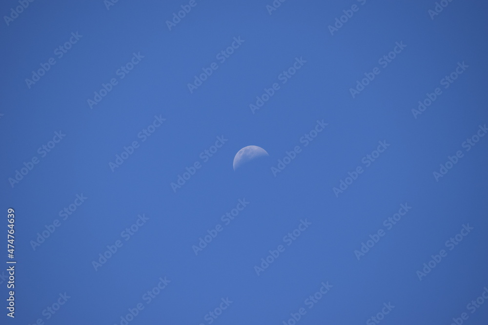 lua no céu do Cerrado lua no céu do Cerrado
