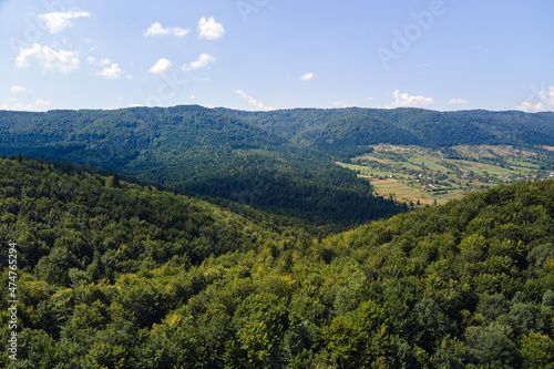 Aerial view of mountain hills covered with dense green lush woods on bright summer day © bilanol