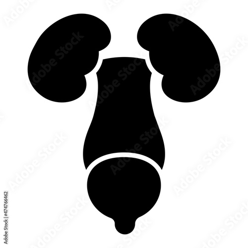 Kidneys