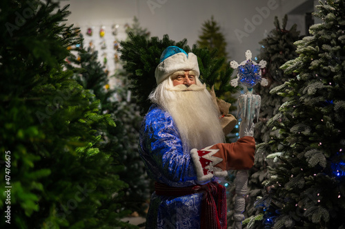 Russian Santa Claus in the store of artificial Christmas trees. 