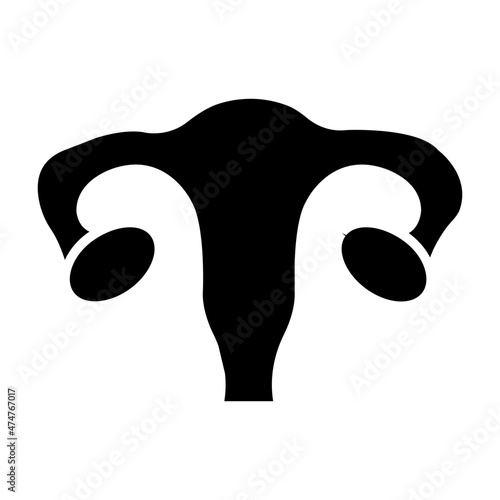 Female Reproductive Organ 

