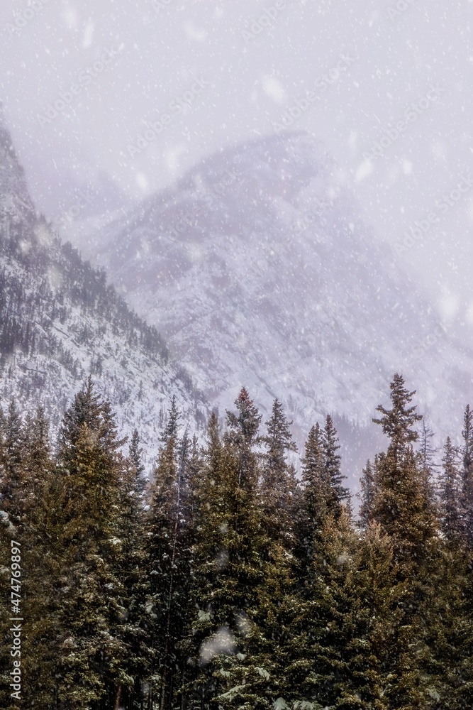 Obraz premium Snow Falling Over Mountains And Trees
