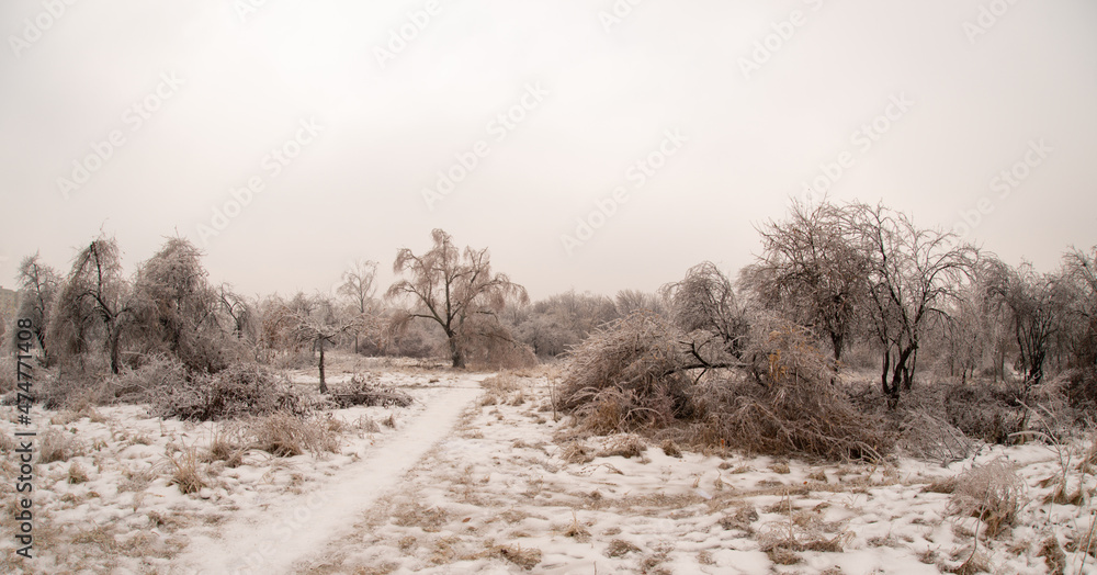 Wonderful ice landscape in Bucharest Wonderful ice landscape in Bucharest