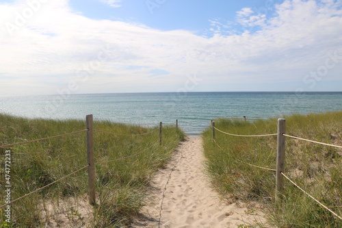 Pathway to the beach lined with a fence and green grass