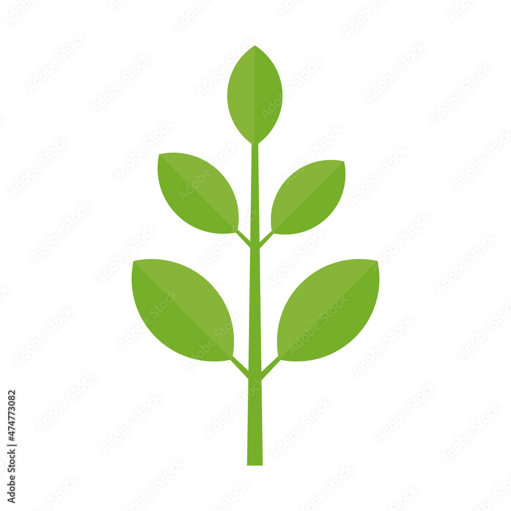 Branch with green leaves. Plant growth. Vector illustration isolated. Branch with green leaves. Plant growth. Vector illustration isolated.