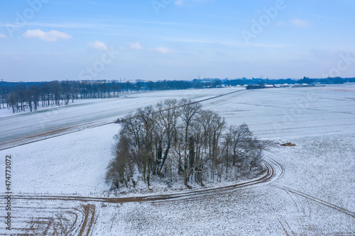 A grove in the middle of snowy fields in Europe, France, Normandy, between Dieppe and Fecamp, in Winter, on a sunny day. © Florent