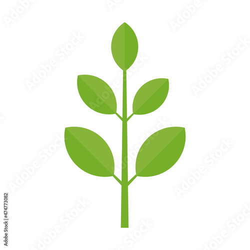 Branch with green leaves. Plant growth. Vector illustration isolated.