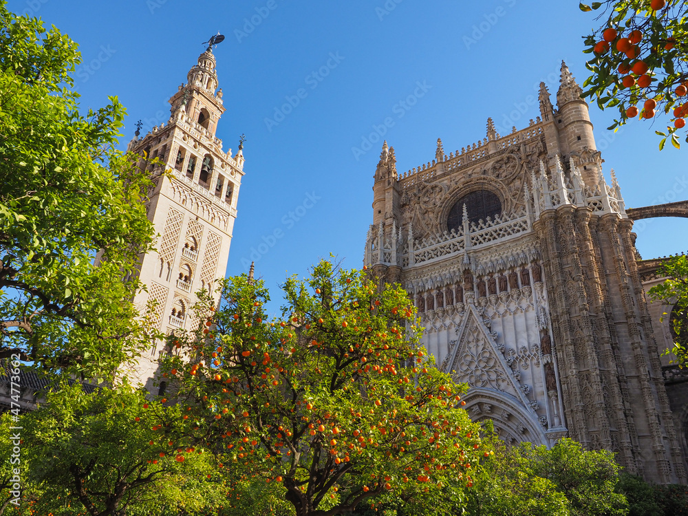 Obraz premium Upper part of Catedral de Sevilla with Moorish minaret and citrus trees. Catholic Gothic church of Saint Mary of the See, bell tower La Giralda in the blue sky background. Seville, Spain.