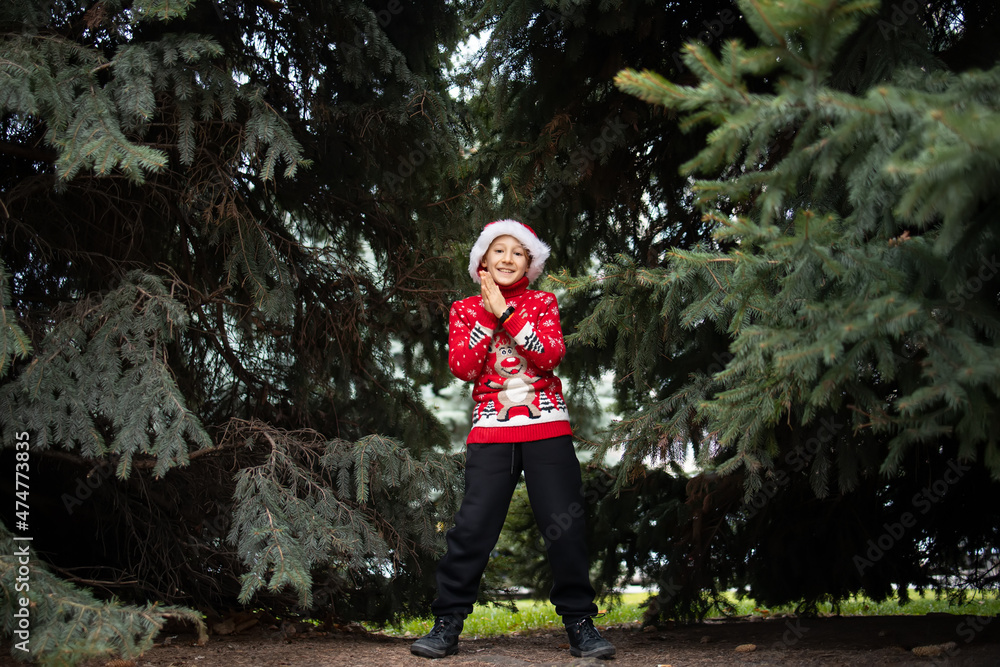 a boy in a red knitted Christmas sweater with a New Year's deer and Santa's hat .stands in the park against the background of Christmas trees a boy in a red knitted Christmas sweater with a New Year's deer and Santa's hat .stands in the park against the background of Christmas trees