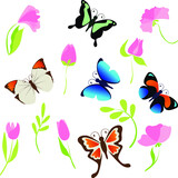 Vector illustration, pattern with butterflies, spring. for postcards, for fabric. nature, insects, background