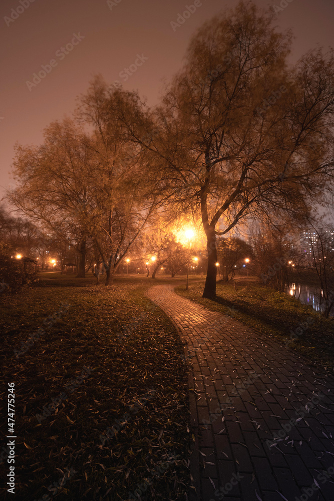 misty autumn evening in the Park in the floodplain of the Gorodnya river in Moscow, Russia