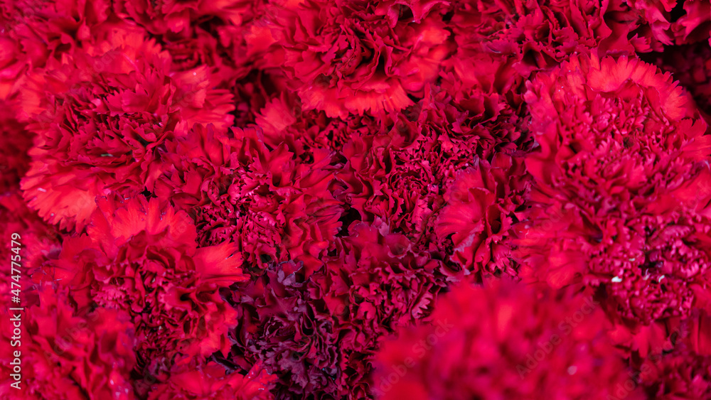 texture of red flowers texture of red flowers
