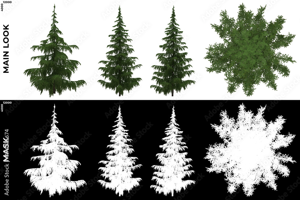 3D Rendering of Front, Left and Top view of Tree (Cedrus Deodara) with alpha mask to cutout and PNG editing. Forest and Nature Compositing.	
