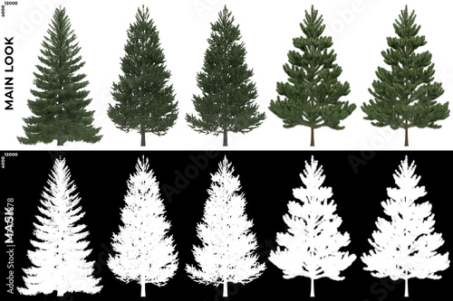 Canvas Print 3D Rendering of Trees (Generic Pines) with alpha mask to cutout and PNG editing