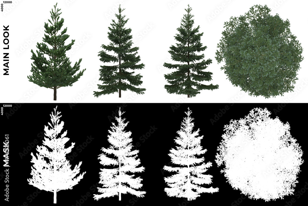 Obraz premium 3D Rendering of Front, Left and Top view of Generic Trees with alpha mask to cutout and PNG editing. Forest and Nature Compositing. 