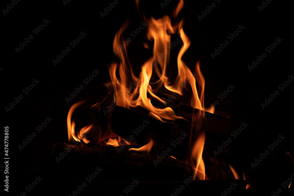 Bonfire. Fiery flame. Fire in the fireplace Bonfire. Fiery flame. Fire in the fireplace