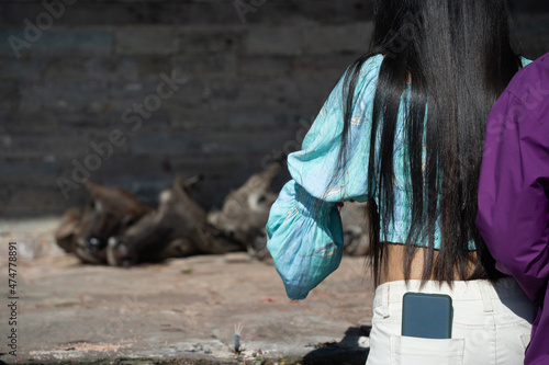 Wild Mountain goats and buffaloes are cut as animal sacrifice in a Temple in Katmandu for Dashain Dussehra in Nepal photo