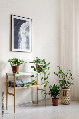 Picture frame on wall over potted houseplants and home decor