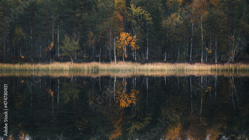 AUTUMN REFLECTION