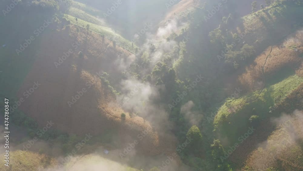 Aerial top view of forest trees and green mountain hills with sea fog, mist and clouds. Nature landscape background, Thailand. Aerial top view of forest trees and green mountain hills with sea fog, mist and clouds. Nature landscape background, Thailand.