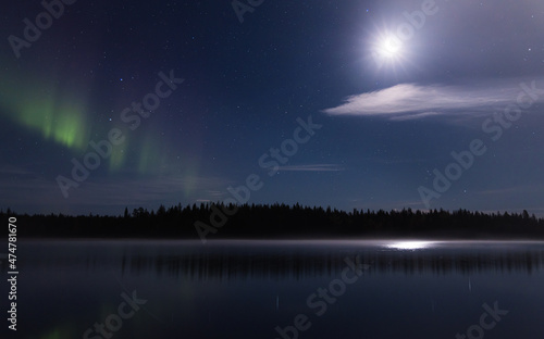 Northern lights in the night sky