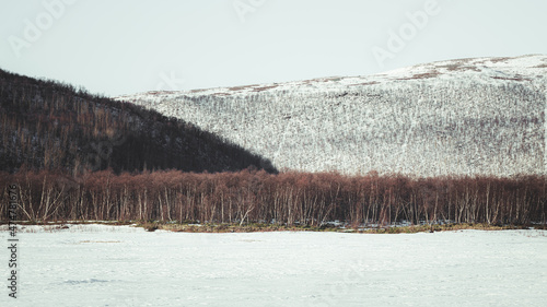snow covered mountains