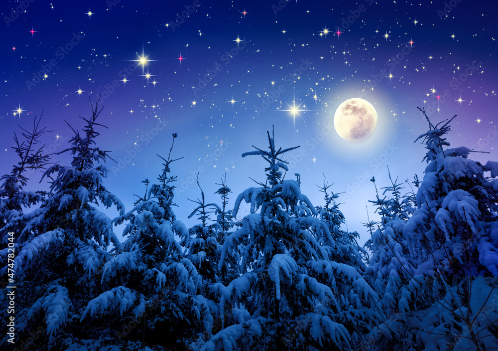 Winter landscape with snow covered fir trees and moonlight.