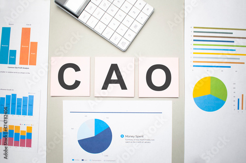 cao business, search engine optimazion,Text on the sheets of paper, charts and white calculator photo