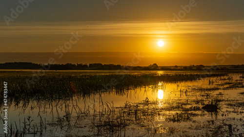 Nastrojowy wschód słońca na tle mokradeł, Biebrzański Park Narodowy