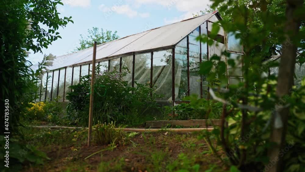 Traditional old greenhouse in the garden. Traditional old greenhouse in the garden.