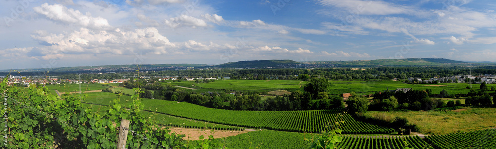 View To The Rhine River In The Rheingau Countryside Near The Johannisberg Castle In Hesse Germany On A Beautiful Spring Day With A Clear Blue Sky And A Few Clouds