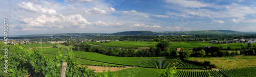 View To The Rhine River In The Rheingau Countryside Near The Johannisberg Castle In Hesse Germany On A Beautiful Spring Day With A Clear Blue Sky And A Few Clouds