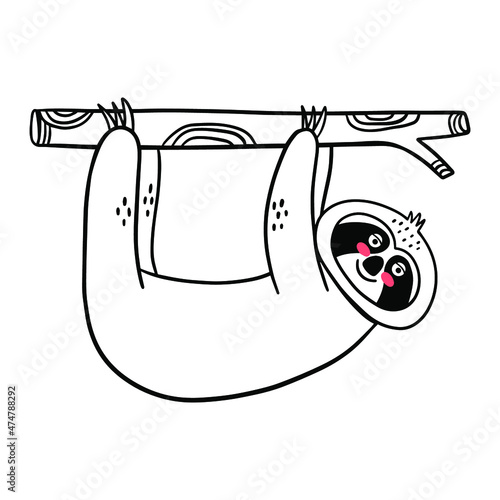 Hanging tree lazy sloth. Doodle simple illustration of the animal.