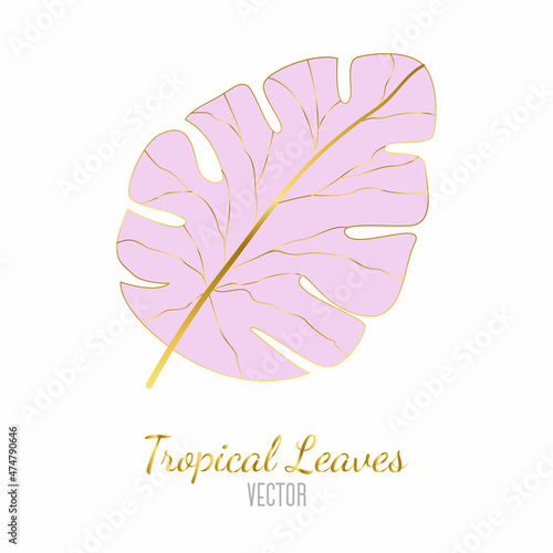 Vector illustration of a palm leaf pink with gold on a white background. A creative flyer for creating collages and designs. Trending tropical illustrations