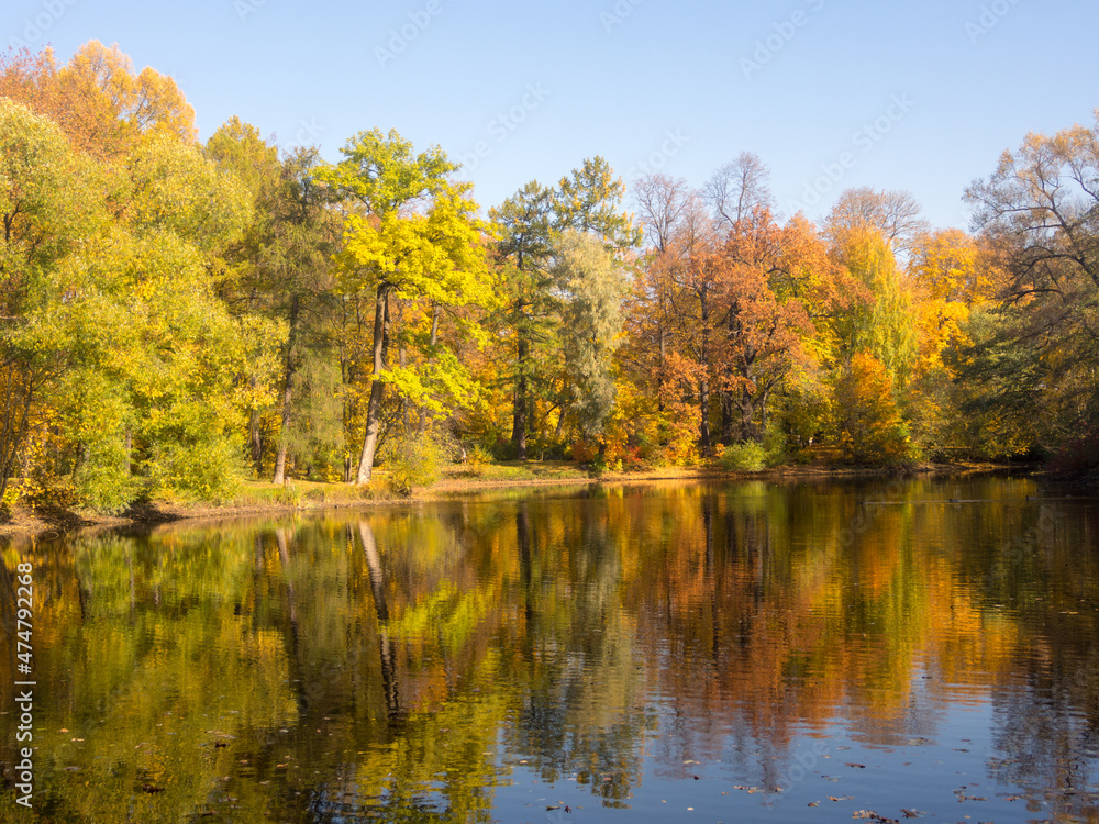 landscape with water reflections