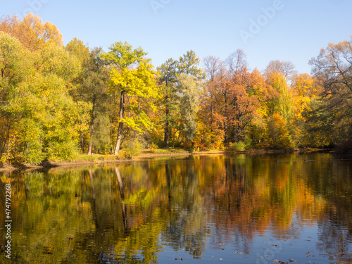 landscape with water reflections