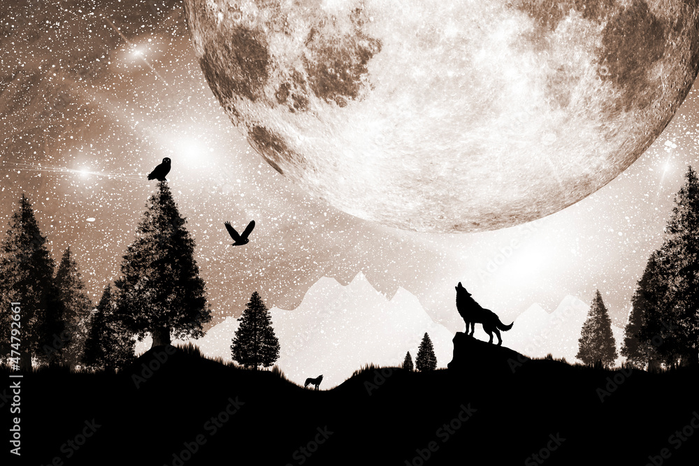 Winter in the land of wolves