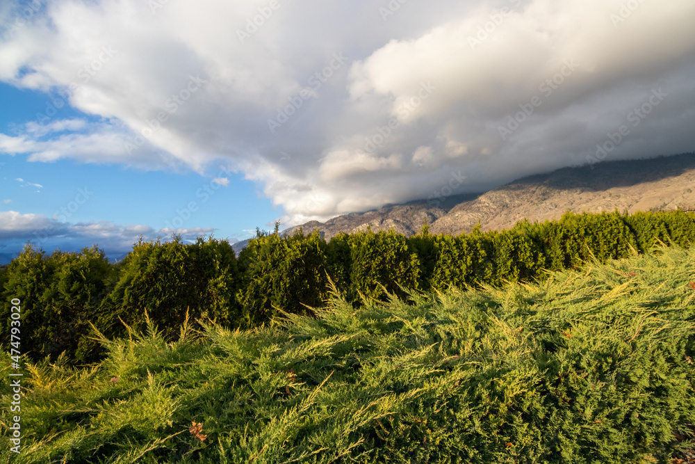 Mountain and clouds over the shrubs at Island View RV Resort in Osoyoos, BC Mountain and clouds over the shrubs at Island View RV Resort in Osoyoos, BC