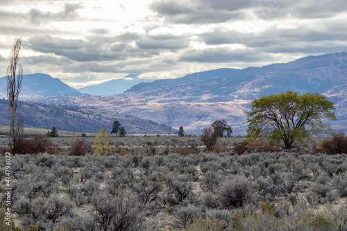 The Okanagan Valley in autumn on a cloudy day in British Columbia, Canada