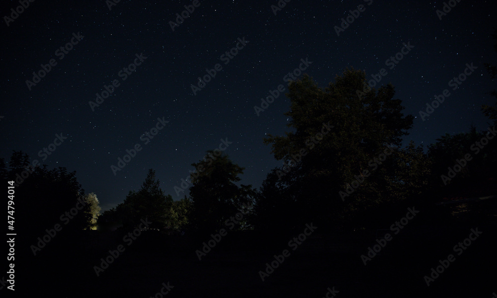 Old house with a Ghost in the forest at night or Abandoned Haunted Horror House in fog. Old mystic building in dead tree forest. Trees at night with moon. Surreal lights.