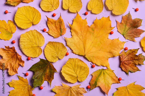 Autumn leaves and pushpins ...