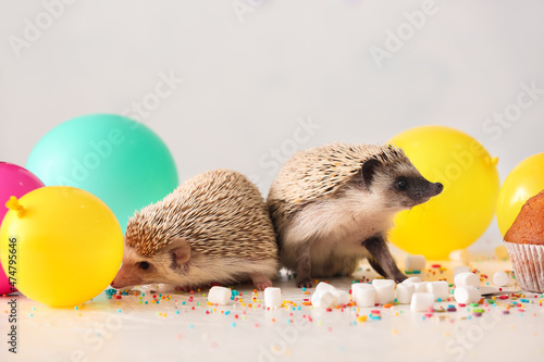 Cute hedgehogs with air bal...